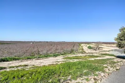 a dirt road next to a field of crops at Picturesque Farmhouse on Working Almond Ranch in Oakdale