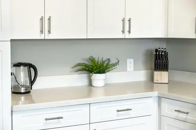 a kitchen counter with white cabinets and a potted plant at Chic Apt w Jacuzzi, Pool, BBQ, & Mountain Views in Sparks