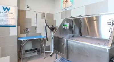 a hospital room with a sink and a stool at Designer Apt with Jacuzzi, Pool & Mountain Views in Sparks