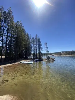 a beach with trees and a boat in the water at Great Location Corner Condo - Tamarack #10 Pets Ok in Bear Valley