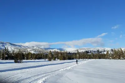 a person cross country skiing across a snow covered field at Sunny, Spacious & Pet Friendly - Creekside #39 in Bear Valley