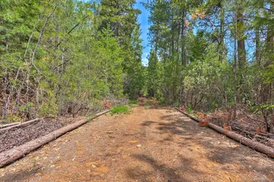 a dirt road in the woods with trees at 10 Acres with Stunning Views Apple Hill Home! in Camino