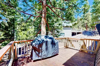 a tree with a tarp on it on a wooden deck at Boothill Adventures in Incline Village