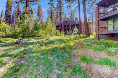 a grassy yard next to a building at Aspen Grove Condo in Truckee