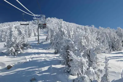 a ski lift with snow covered trees on a ski slope at Conifer Donner in Truckee