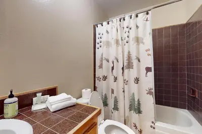 a bathroom with a toilet and a shower curtain at Cozy Tahoe Donner Retreat in Truckee