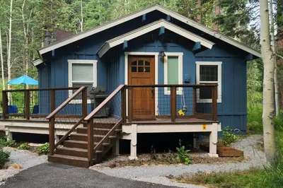 a blue tiny house with a large deck at Homewood Cabin Among the Pines in Homewood