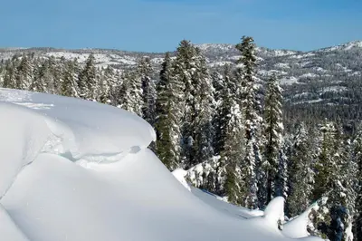 a snow covered forest with trees in the background at Charming Lake Tahoe Cabin in Carnelian Bay