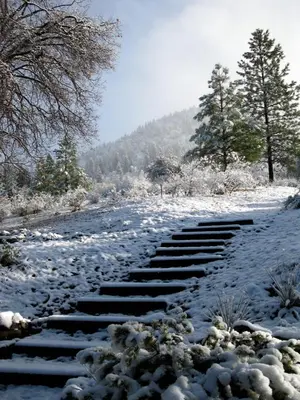 a snow covered road with steps in the middle at Fivespot Cabin in Pinehurst