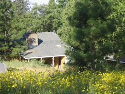 a house in the middle of a field of flowers at Fivespot Cabin in Pinehurst