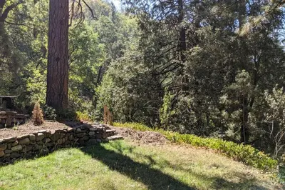 a garden with a stone wall and trees at Pierce's Cabin in Miramonte