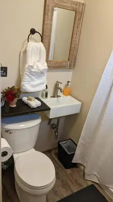 a bathroom with a white toilet and a sink at Cozy Cabin in Squaw Valley