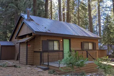 a small cabin with a green door in the woods at King's Cabin in Wilsonia