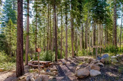 a picnic table in the middle of a forest at Mill Camp Gem in Ponderosa Fairway Estates