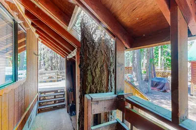 an inside view of a house with a tree at Cabin Oasis in Tahoma