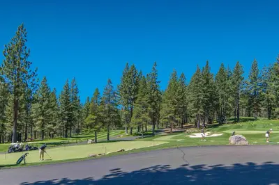 a park with trees and people on the grass at Chamonix Escape in Truckee