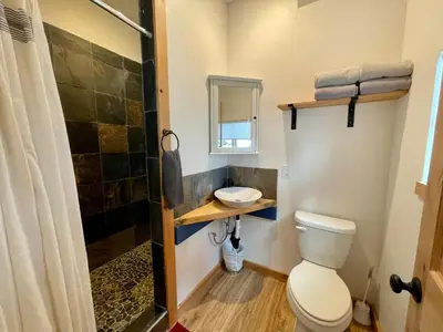 a bathroom with a toilet and a shower and a sink at Ravens Lair in Yosemite West