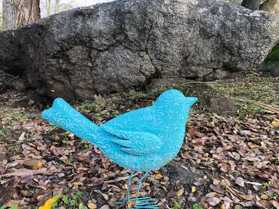 a blue bird sitting on the ground next to a rock at Birdwatch Cottage With River Beach Pass in Three Rivers