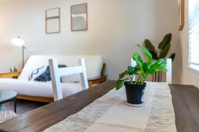 a wooden table with a potted plant on top of it at Boho Townhome in Carson City 10 Mins From Downtown, 30 Mins To Lake Tahoe in Carson City