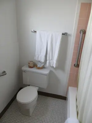 a bathroom with a white toilet and a towel at Holiday Lodge in Hawthorne