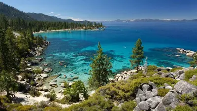 a view of a lake with people swimming in the water at Mahogany by AvantStay Snowbird Cabin w Full Chamberlands Access in Homewood