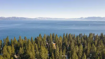 an aerial view of a forest of trees next to water at Sockeye by AvantStay Modern 2 BR Condo w Access to Northstar Resort Community in Kingswood Estates