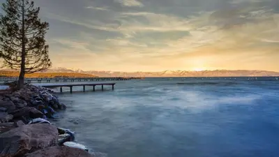 a lake with a pier and a tree on the shore at Sockeye by AvantStay Modern 2 BR Condo w Access to Northstar Resort Community in Kingswood Estates