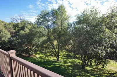 a view of a yard with trees and a fence at Yosemite Villa - Only 0,3 Miles from Lake Lodge Beach and Playground in Groveland