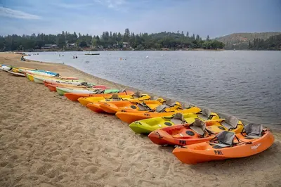 a row of kayaks lined up on a beach at The Big Easy Lakefront Cabin in Groveland