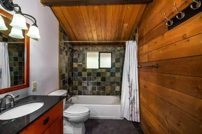a bathroom with a tub and a toilet and a sink at Rustic Modern Cabina De Alba in Groveland