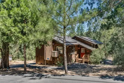a log cabin in the woods with trees at Pet Friendly Grizzly Blair Lodge Cabin in Groveland