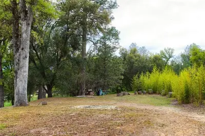 a park with trees and a dirt road at Beautiful Pet-Friendly Spacious Lodge near Yosemite & Lakes 12 Beds 6 BR up to 16 people in Oakhurst