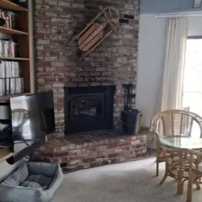 Falcon Nest