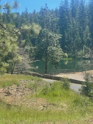 a lake with a path next to a forest at Lakeside BLS Retreat near Big Trees & Bear Valley in Arnold