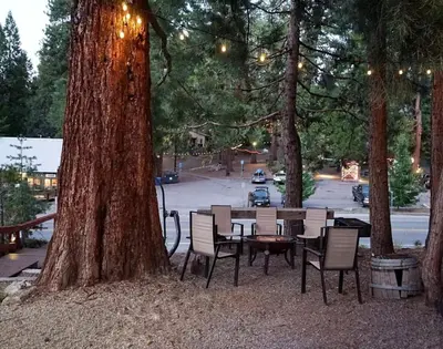 a table and chairs in a park with trees at Miners Suite-Centrally Located in Shaver Lake in Shaver Lake