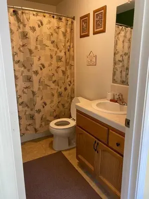 a bathroom with a toilet and a sink and a shower curtain at Waxberry Getaway Sequoia/Kings Canyon National Pks in Squaw Valley