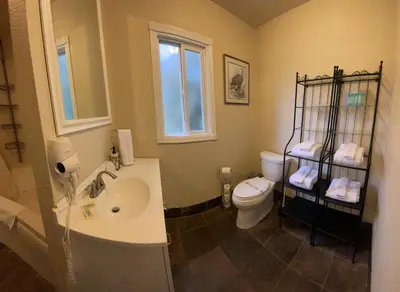 a bathroom with a sink and a toilet at Sierra Woods Lodge in Emigrant Gap