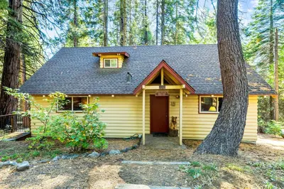 a yellow house in the woods with a tree at Jug Handle Hideaway in Arnold
