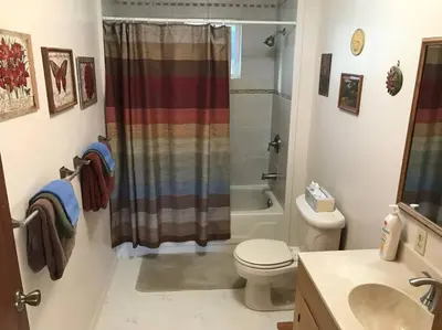 a bathroom with a shower curtain and a toilet at Foothill Acres in Midpines