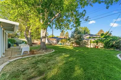 a yard with a tree and a white chair at Reno Roost in Reno