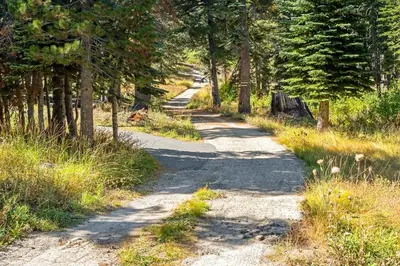 a dirt road with trees on both sides at Walk to the Lake - Ski in out Amazing 5 Bdrm - VH#343 in Bear Valley