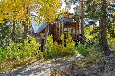 a tree house in the woods with a path leading to it at Walk to the Lake - Ski in out Amazing 5 Bdrm - VH#343 in Bear Valley