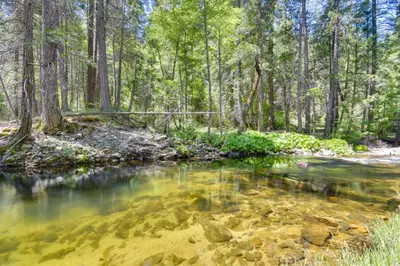 a stream in a wooded area with clear water at 7 Mi to Yosemite Natl Park Riverfront Getaway! in Groveland