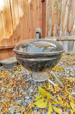 a bird bath sitting on top of a pile of leaves at A Cottage - Walk to UC Davis & Shriners in Sacramento