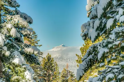 a view of snow covered trees with a mountain in the background at Northstar's Cozy Condo in Truckee