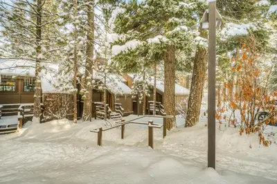 a snow covered yard with benches and trees at Northstar's Cozy Condo in Truckee