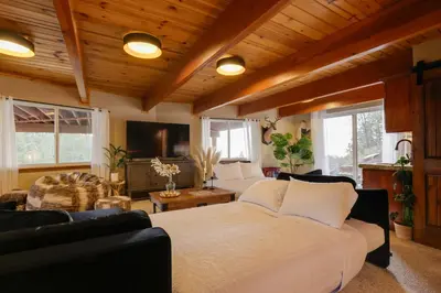 a living room with a bed and a couch at Hot Tub and Scenic Views Luxury Twain Harte Cabin! in Twain Harte