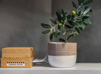 a plant in a white vase next to a wooden box at Fully-Stocked, Pet-friendly, Relaxing Home Near Yosemite and Bass Lake in North Fork