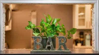 a potted plant sitting on top of a table at Fully-Stocked, Pet-friendly, Relaxing Home Near Yosemite and Bass Lake in North Fork