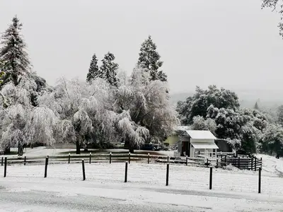 a field covered in snow with a house and trees at Mountain Escape, Yosemite South Gate House with Hot Tub, Views & Game Room, Near town in Oakhurst